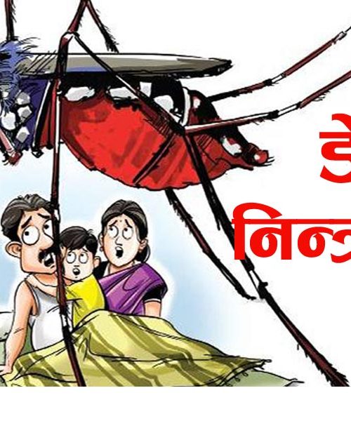 देशभर डेंगी सङ्क्रमण तीव्र, देशभर १९ हजार जना सङ्क्रमित