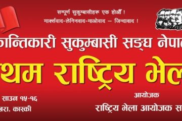 तात्कालिक राजनीतिक कार्यनीति : अस्थायी संयुक्त सरकार