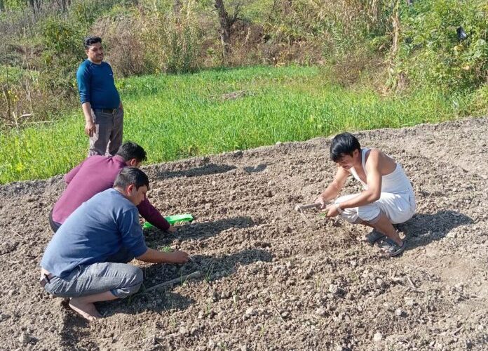 उत्पादन कार्यमा क्रान्तिकारी कम्युनिष्ट पार्टी नेपाल ९ नं. ब्युरोका नेताकार्यकर्ता