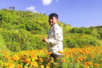 फिल्म क्षेत्रका प्रोडक्सन म्यानेजर वीरेन्द्रको कृषि उद्यम: बार्दली रेस्टुरेन्टको सहकार्यमा गोकर्णेश्वर-०१ ओख्रेनीमा १०० रोपनीमा फूल खेती